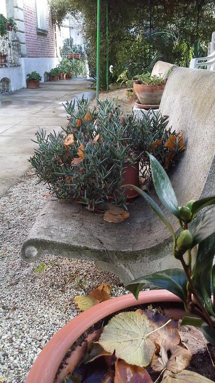 Villa Maria Bed & Breakfast, Corridonia, Marche Exterior foto