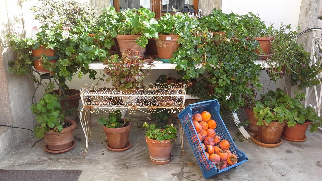 Villa Maria Bed & Breakfast, Corridonia, Marche Exterior foto