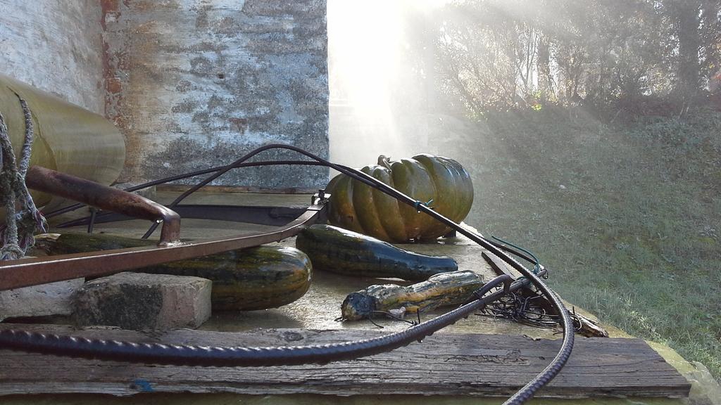 Villa Maria Bed & Breakfast, Corridonia, Marche Exterior foto